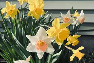 7063 Lake Rd, Madison, OH 44057 - Photo 3