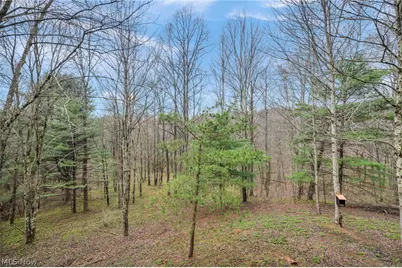 40721 Township Road 467, Sardis, OH 43946 - Photo 23