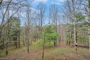 40721 Township Rd 467, Sardis, OH 43946 - Photo 23