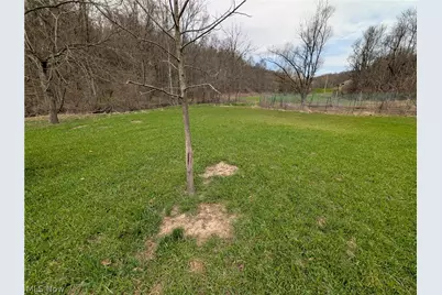 39000 Lees Run Road, Cadiz, OH 43907 - Photo 5