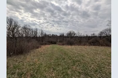 39000 Lees Run Road, Cadiz, OH 43907 - Photo 19