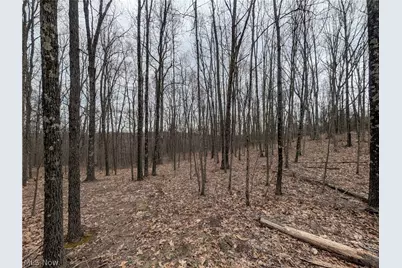 39000 Lees Run Road, Cadiz, OH 43907 - Photo 21