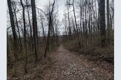39000 Lees Run Road, Cadiz, OH 43907 - Photo 45