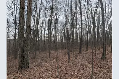 39000 Lees Run Road, Cadiz, OH 43907 - Photo 23