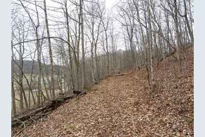 Sarchets Run Road, Cambridge, OH 43725 - Photo 11