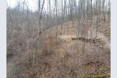 Sarchets Run Road, Cambridge, OH 43725 - Photo 19