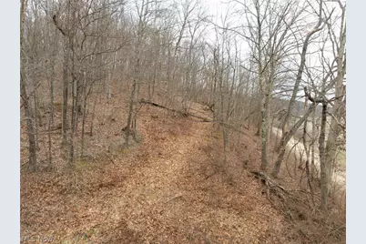 Sarchets Run Road, Cambridge, OH 43725 - Photo 19