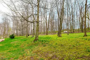 241 Monroe St, Fredericksburg, OH 44627 - Photo 47