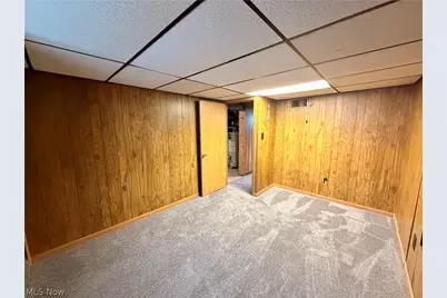 133 Woolf Avenue, Akron, OH 44312 - Photo 33