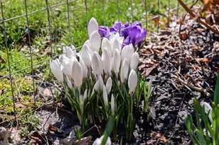 260 Courtland Blvd, Eastlake, OH 44095 - Photo 27