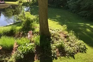 13160 Stoney Springs Dr, Chardon, OH 44024 - Photo 43