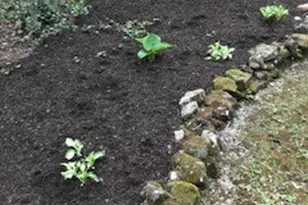 13160 Stoney Springs Dr, Chardon, OH 44024 - Photo 47