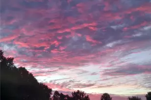 12488 Baumhart Rd, Amherst, OH 44001 - Photo 31