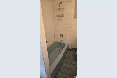 914 Dan Street, Akron, OH 44310 - Photo 21
