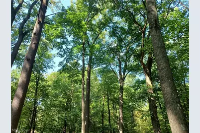 695 S Hubbard Road, Lowellville, OH 44436 - Photo 7