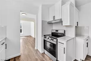 10318 Thrush Ave, Loveland, OH 44111 - Photo 13