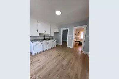 946 E 79th Street, Loveland, OH 44103 - Photo 13