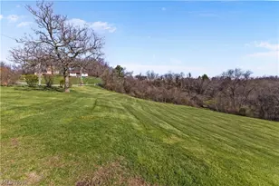 910 Morton Hill Rd, Colliers, WV 26035 - Photo 41