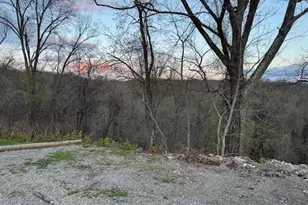 279 Virginia St, Wellsburg, WV 26070 - Photo 35