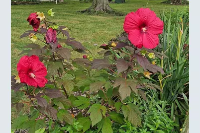 4633 Farley Drive, Mentor, OH 44060 - Photo 33