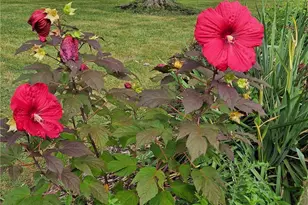 4633 Farley Dr, Mentor, OH 44060 - Photo 33