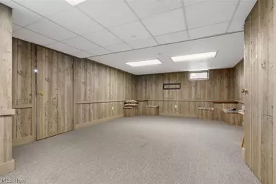 4747 Sharon Copley Road, Medina, OH 44256 - Photo 39