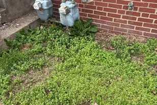 206 Lovell Dr, Charleston, WV 25302 - Photo 19