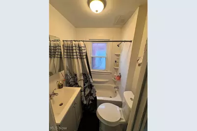 11817 Dove Avenue, Loveland, OH 44105 - Photo 11