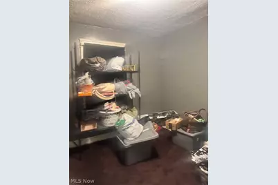 3524 E 143rd Street, Loveland, OH 44120 - Photo 5