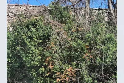 632 E 162nd Street, Loveland, OH 44110 - Photo 15