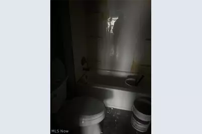 11709 Lenacrave Avenue, Loveland, OH 44105 - Photo 19