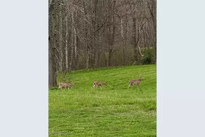 29981 Bashan Road, Racine, OH 45771 - Photo 43