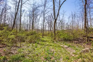 4502 Clover Rd, Cumberland, OH 43732 - Photo 29