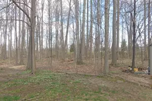 15852 Inglewood Ct, Strongsville, OH 44136 - Photo 5