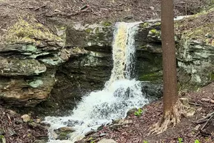 253 Anne Marie Ct, Hinckley, OH 44233 - Photo 47