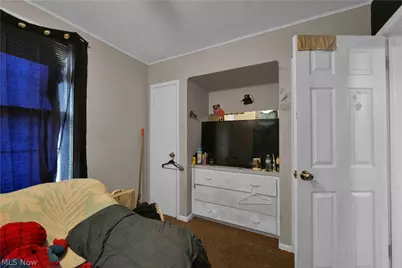 1476 W 107th Street, Loveland, OH 44102 - Photo 17