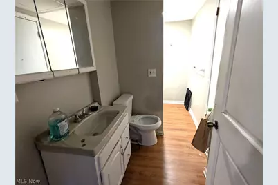 2064 W 91 Street, Loveland, OH 44102 - Photo 15