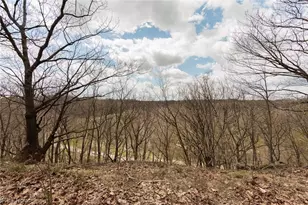 3155 Rocky River Dr, Loveland, OH 44111 - Photo 7