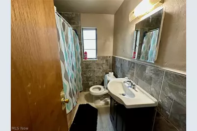 1166 E 176th Street, Loveland, OH 44119 - Photo 9