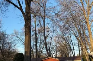 183 Yoder, Avon Lake, OH 44012 - Photo 5