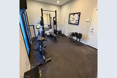 3110 Vine Court, Loveland, OH 44113 - Photo 37