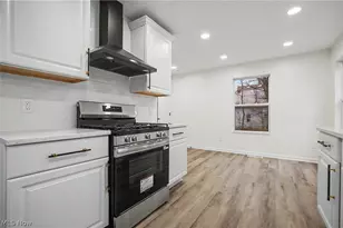 2911 E 102nd St, Loveland, OH 44104 - Photo 7