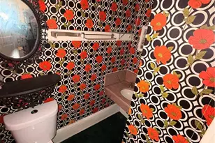 658 E 115th St, Loveland, OH 44108 - Photo 11