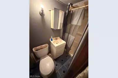 658 E 115th Street, Loveland, OH 44108 - Photo 13