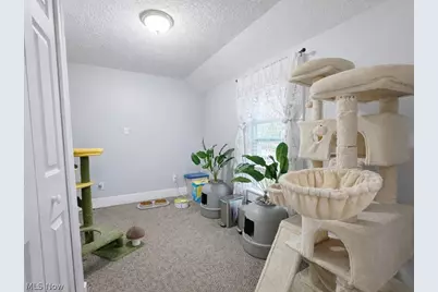 1422 W 30th Street, Ashtabula, OH 44004 - Photo 29