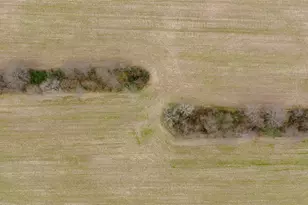 5006 S Canfield-Niles Rd, Canfield, OH 44406 - Photo 9