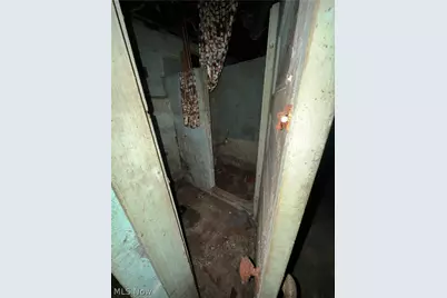 9809 Marah Avenue, Loveland, OH 44104 - Photo 21