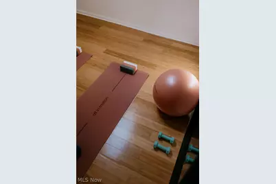 4210 Clinton Avenue, Loveland, OH 44113 - Photo 27