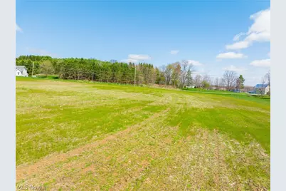 9050 Freeman Road, Lisbon, OH 44432 - Photo 41