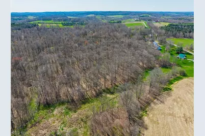 9050 Freeman Road, Lisbon, OH 44432 - Photo 45